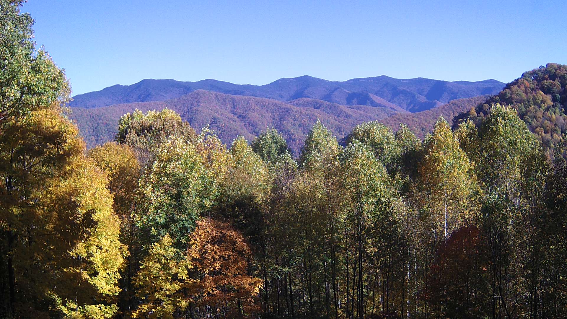 click for next image... slideshow image