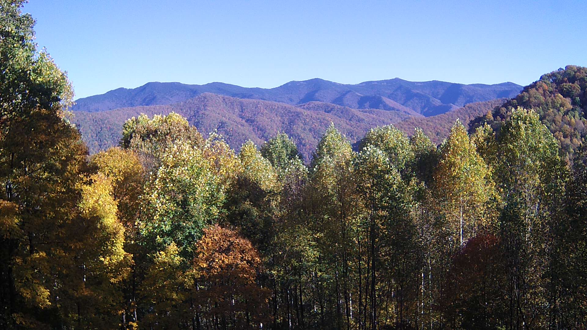 click for next image... slideshow image