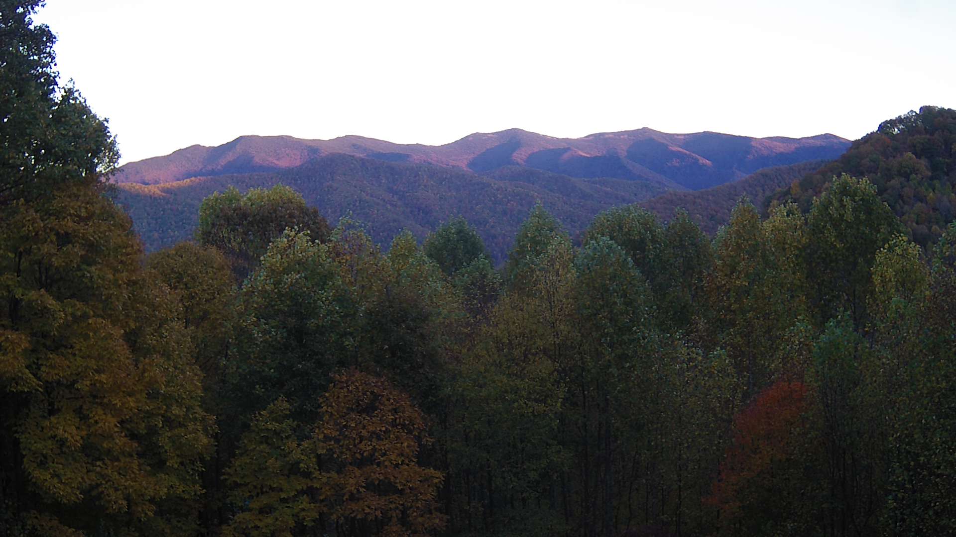 click for next image... slideshow image