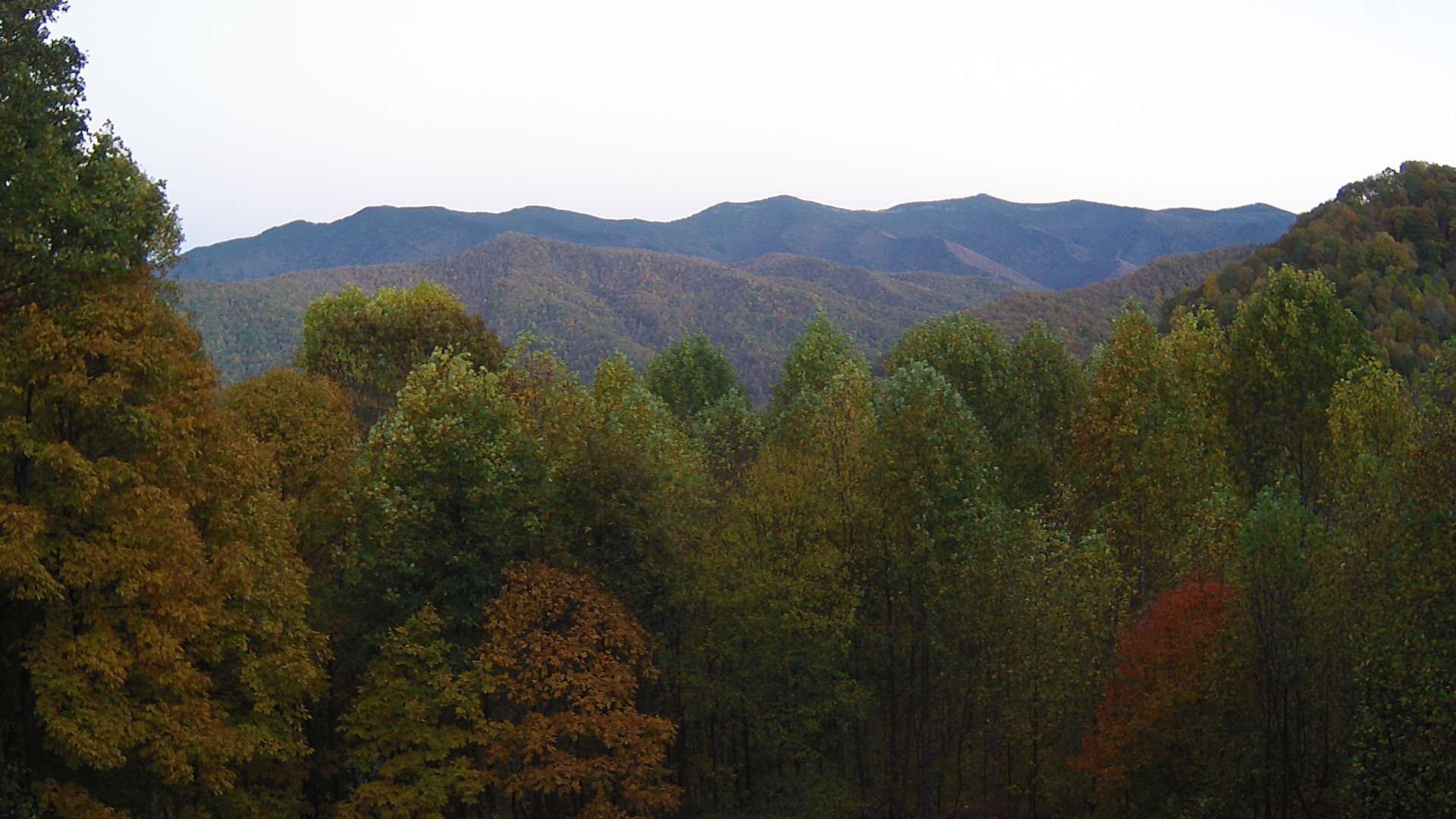 click for next image... slideshow image