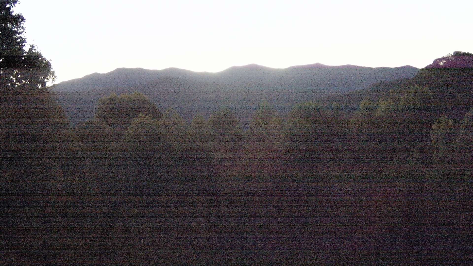 click for next image... slideshow image