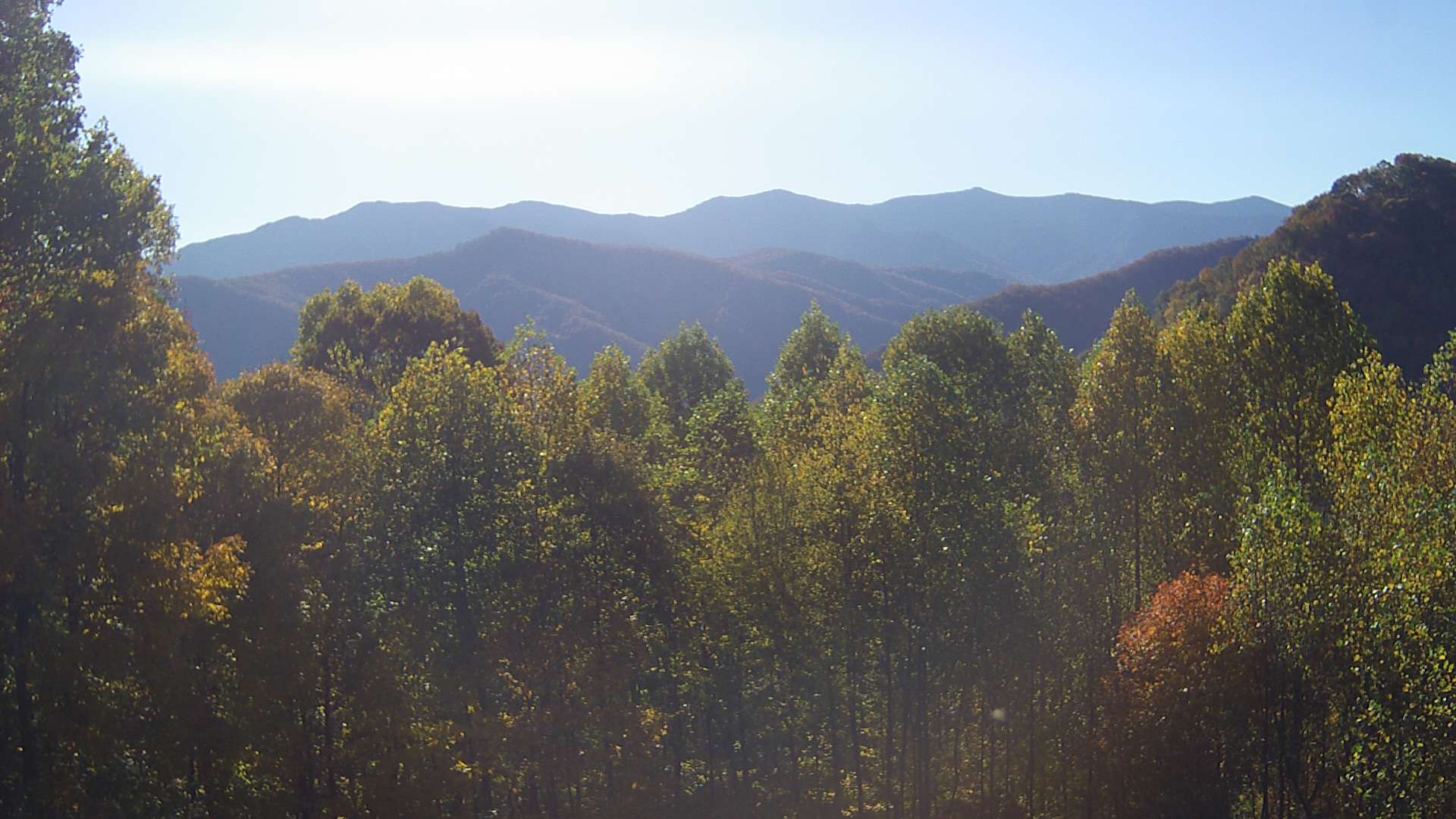 click for next image... slideshow image