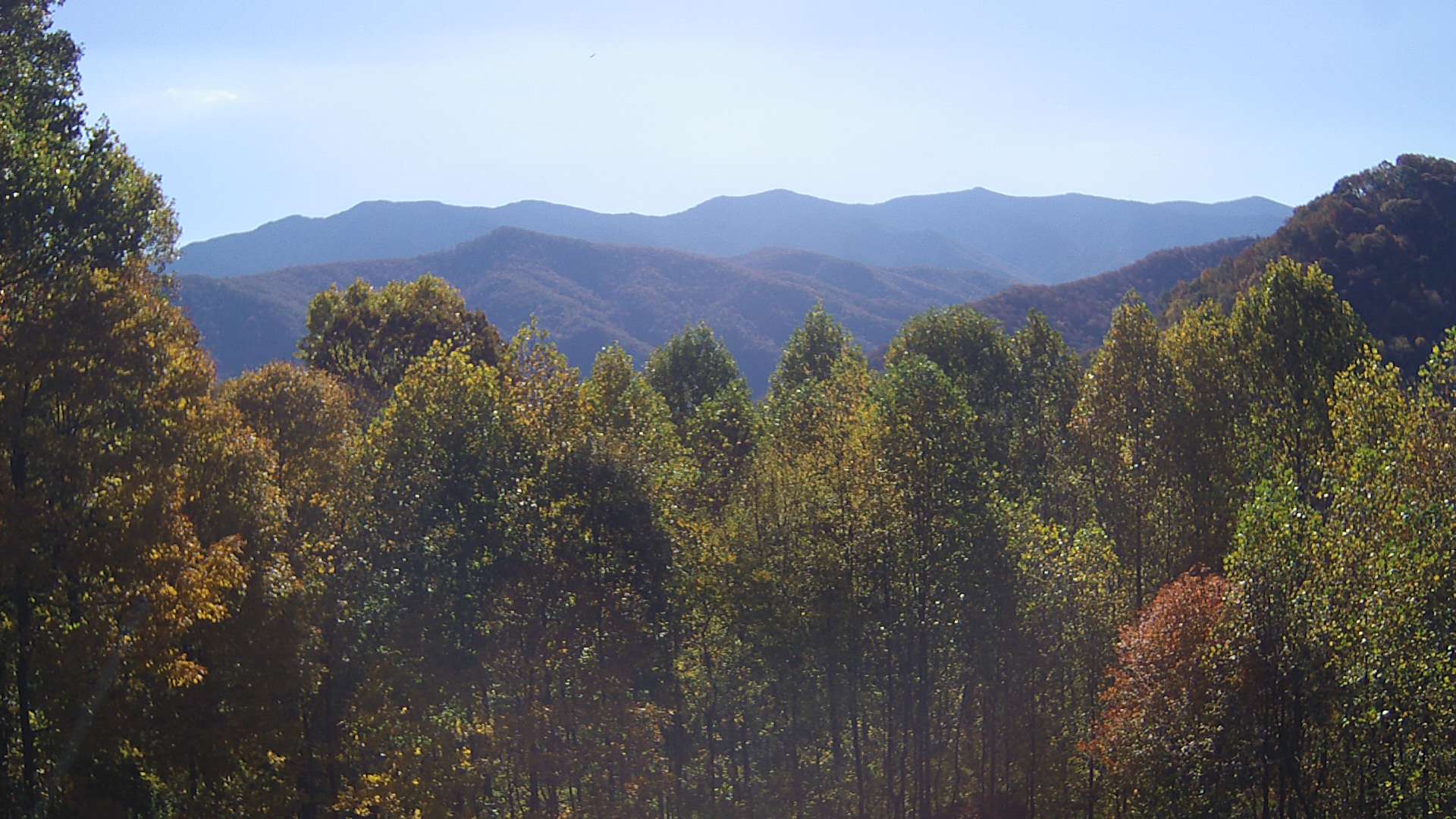 click for next image... slideshow image