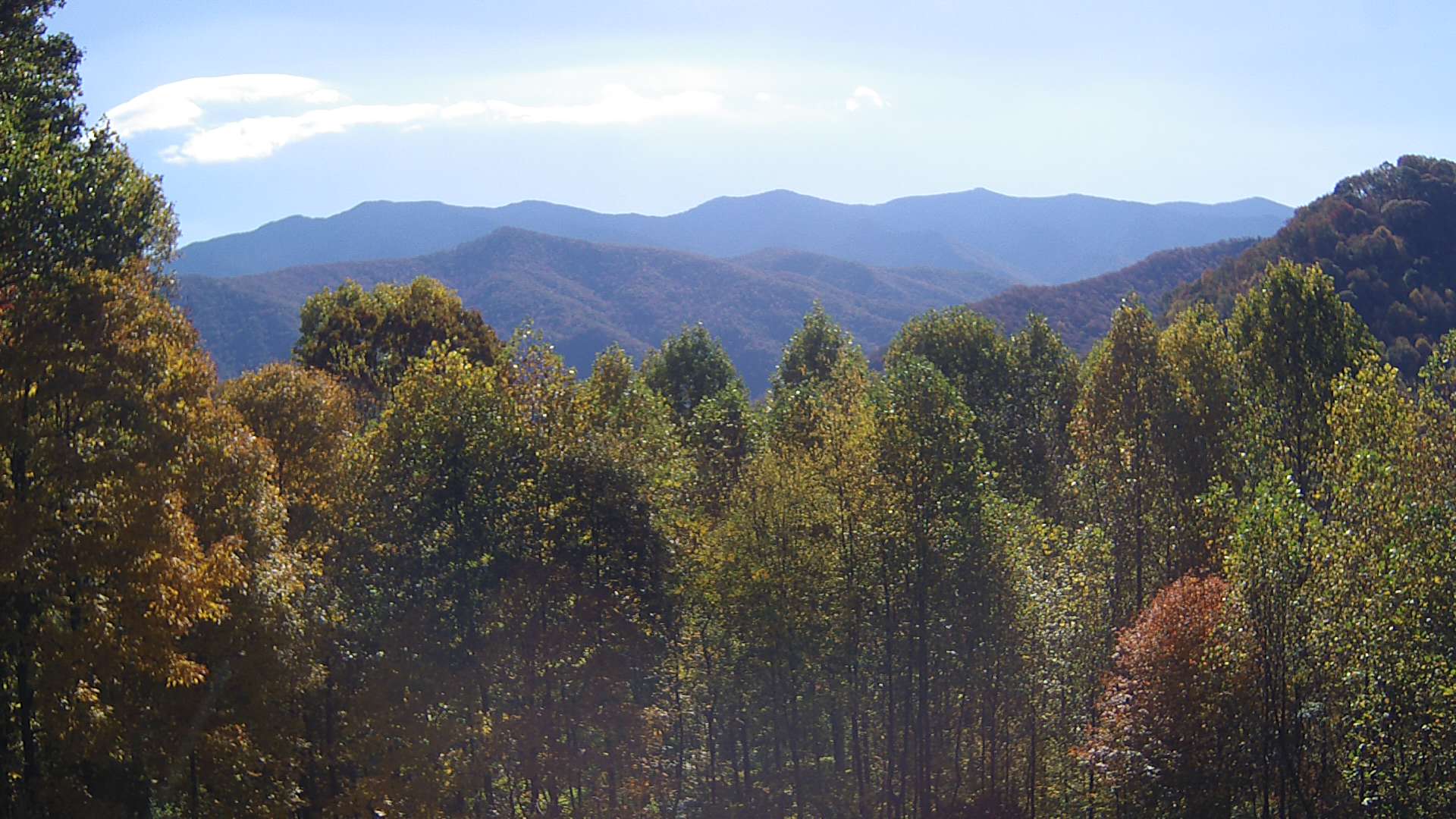 click for next image... slideshow image