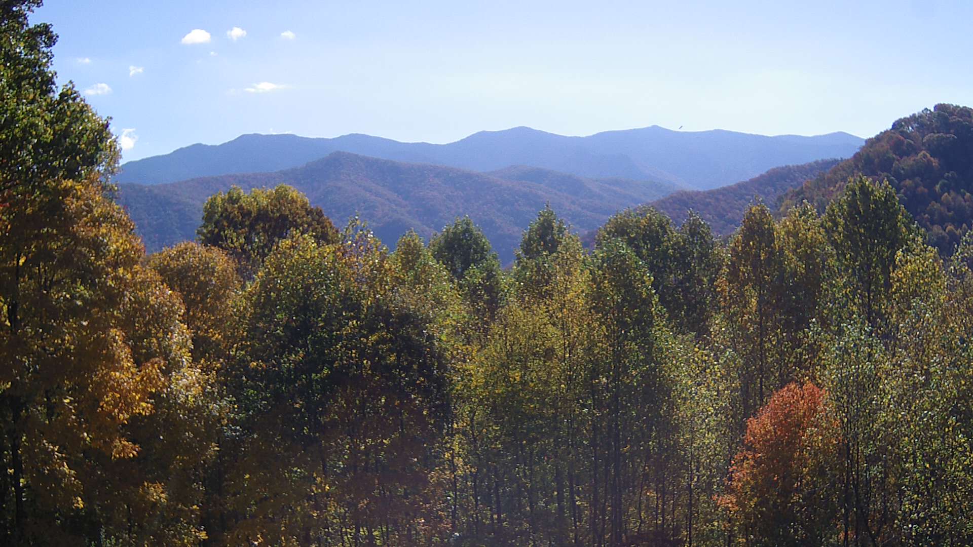 click for next image... slideshow image