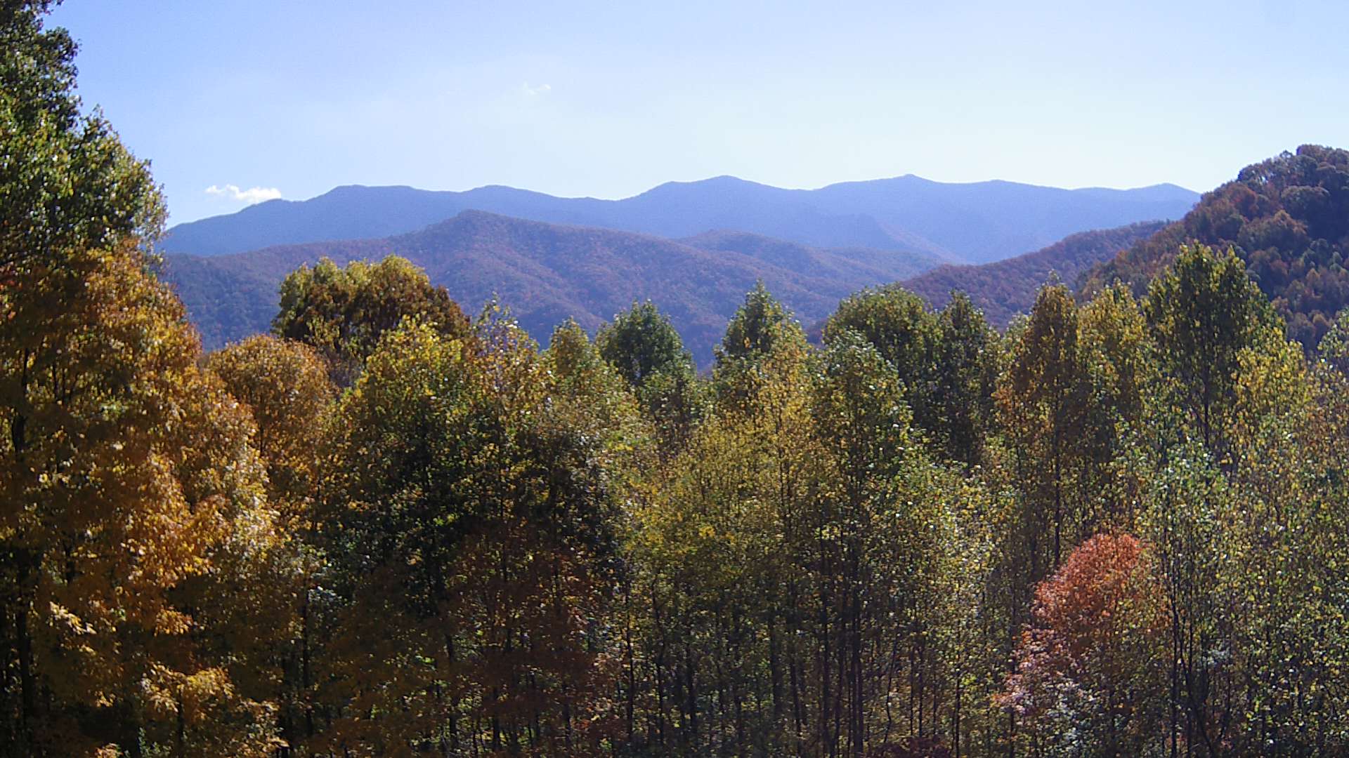 click for next image... slideshow image