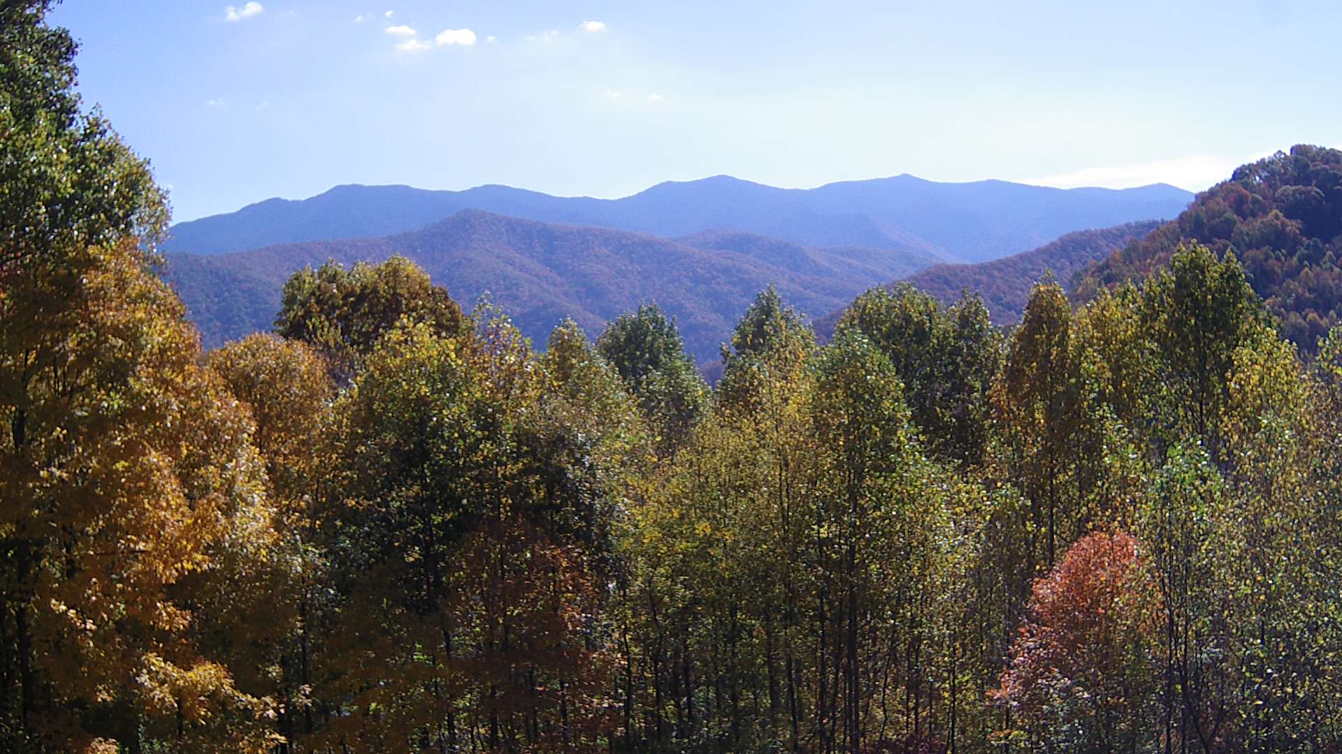 click for next image... slideshow image