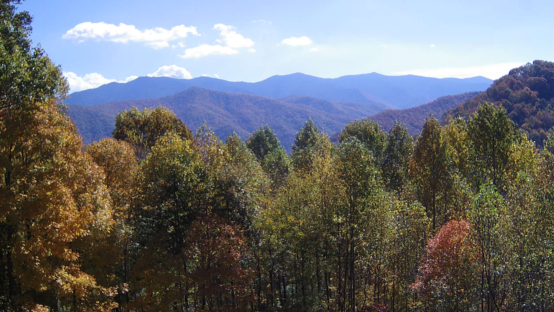 click for next image... slideshow image