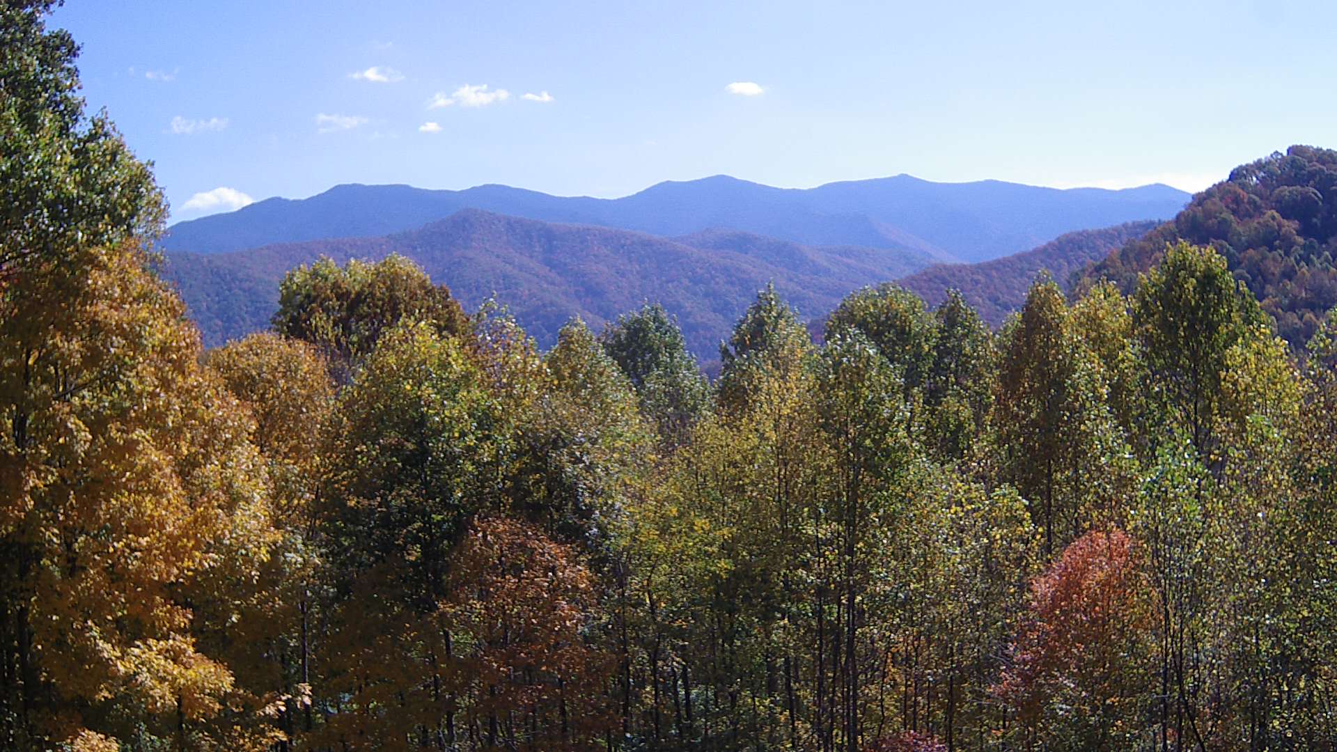 click for next image... slideshow image