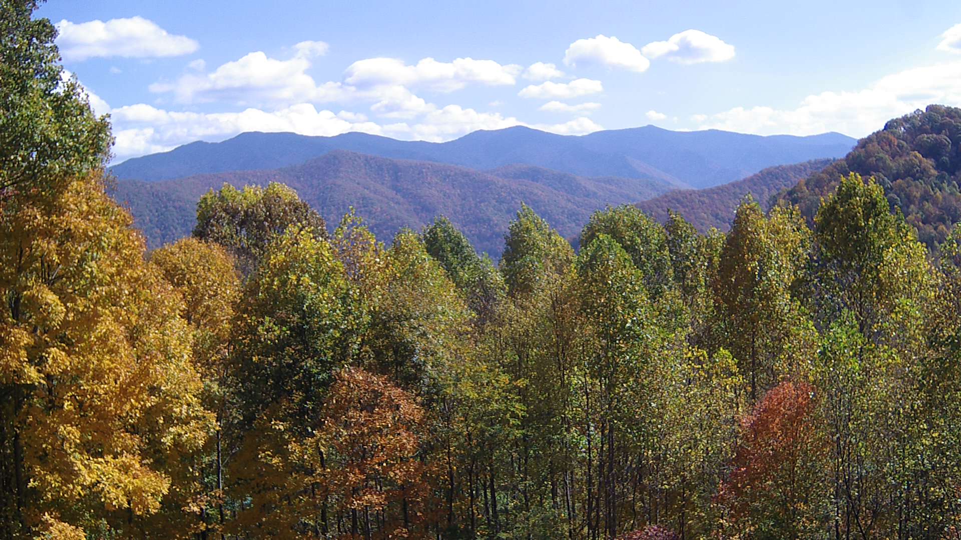 click for next image... slideshow image