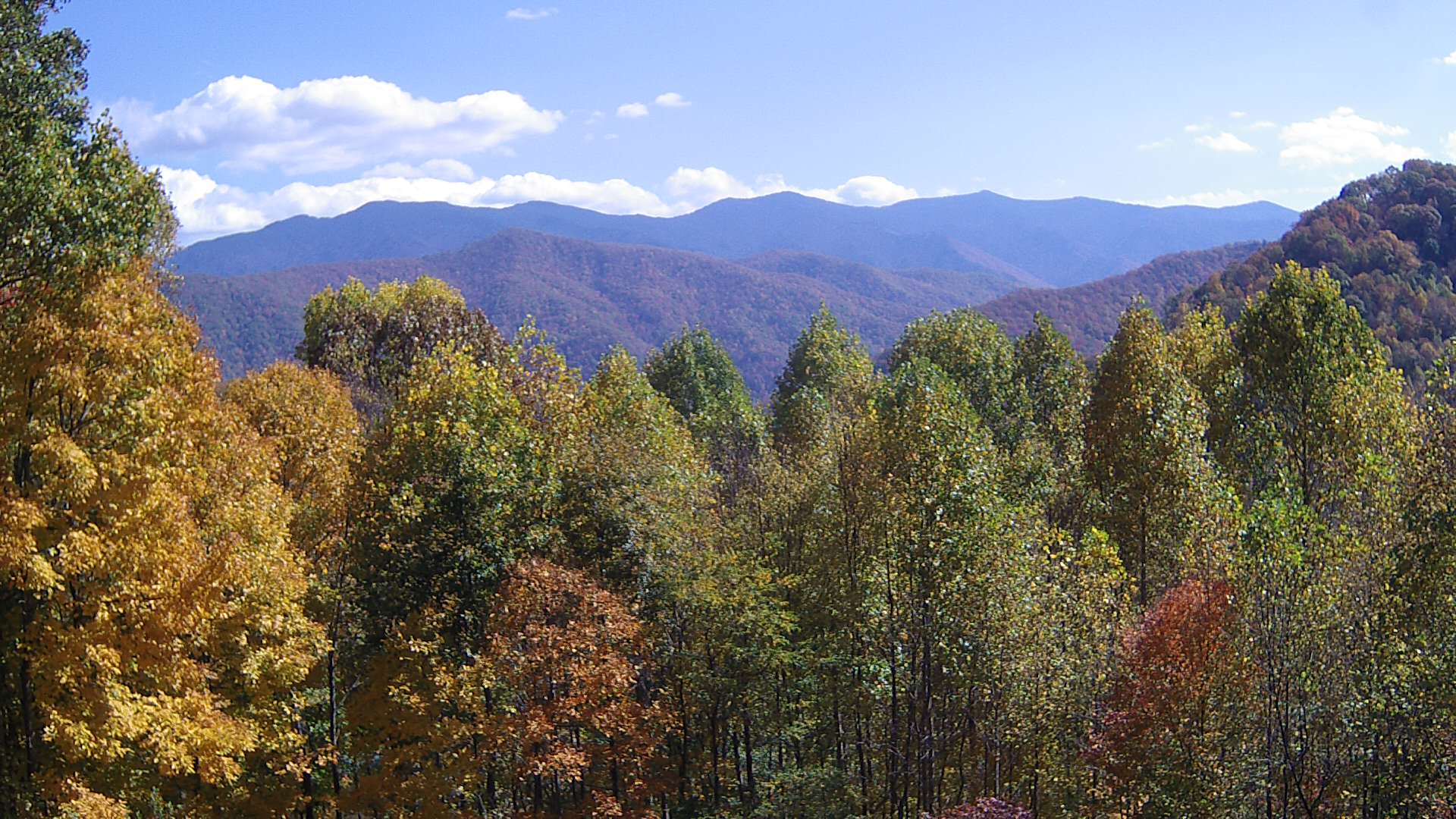 click for next image... slideshow image