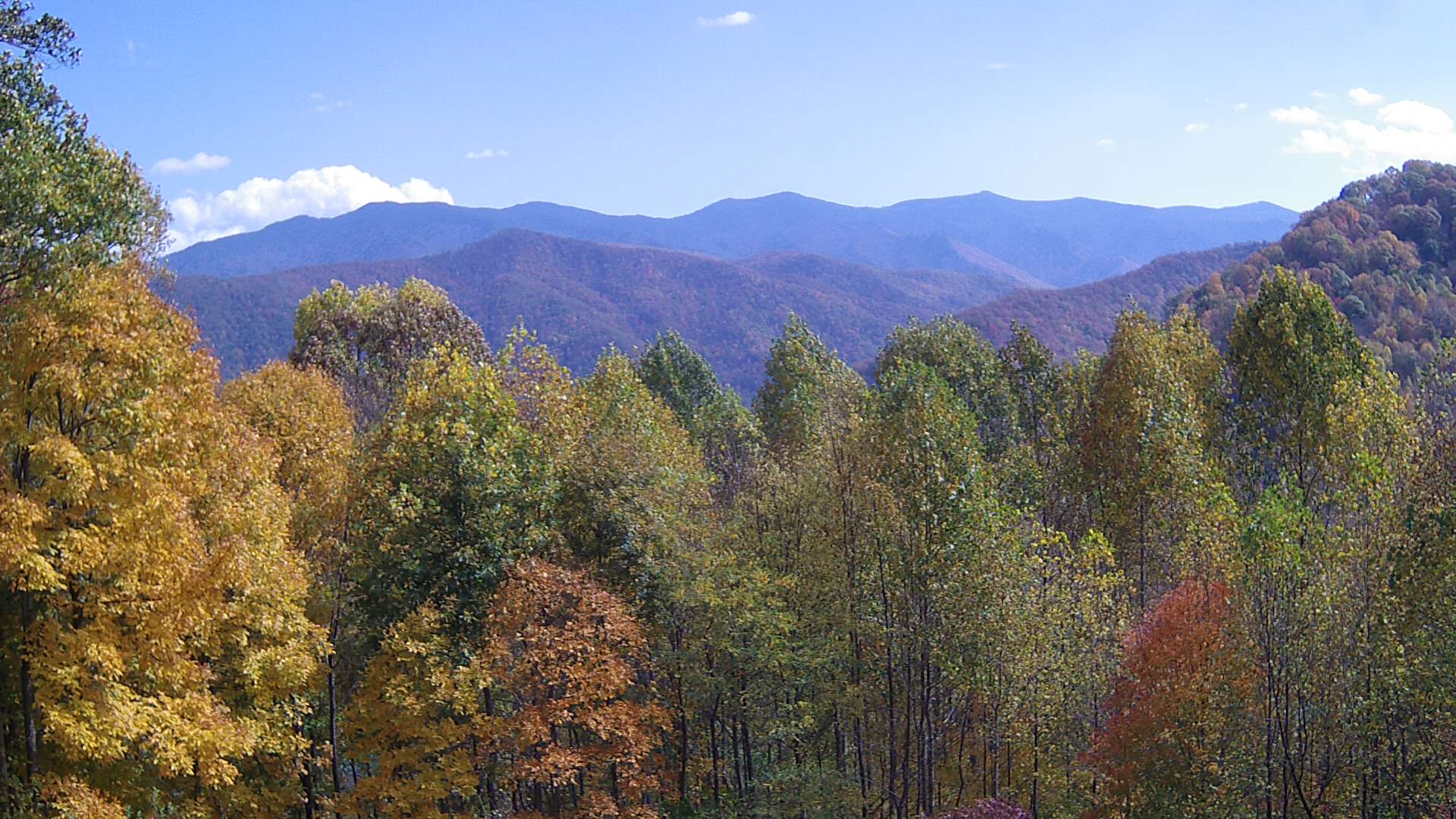 click for next image... slideshow image