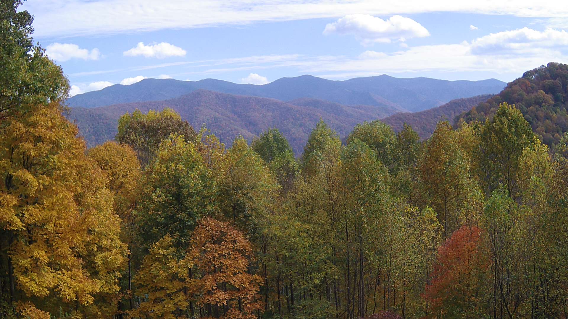 click for next image... slideshow image