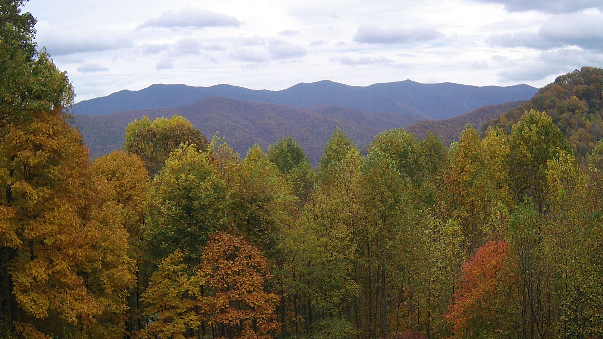 click for next image... slideshow image