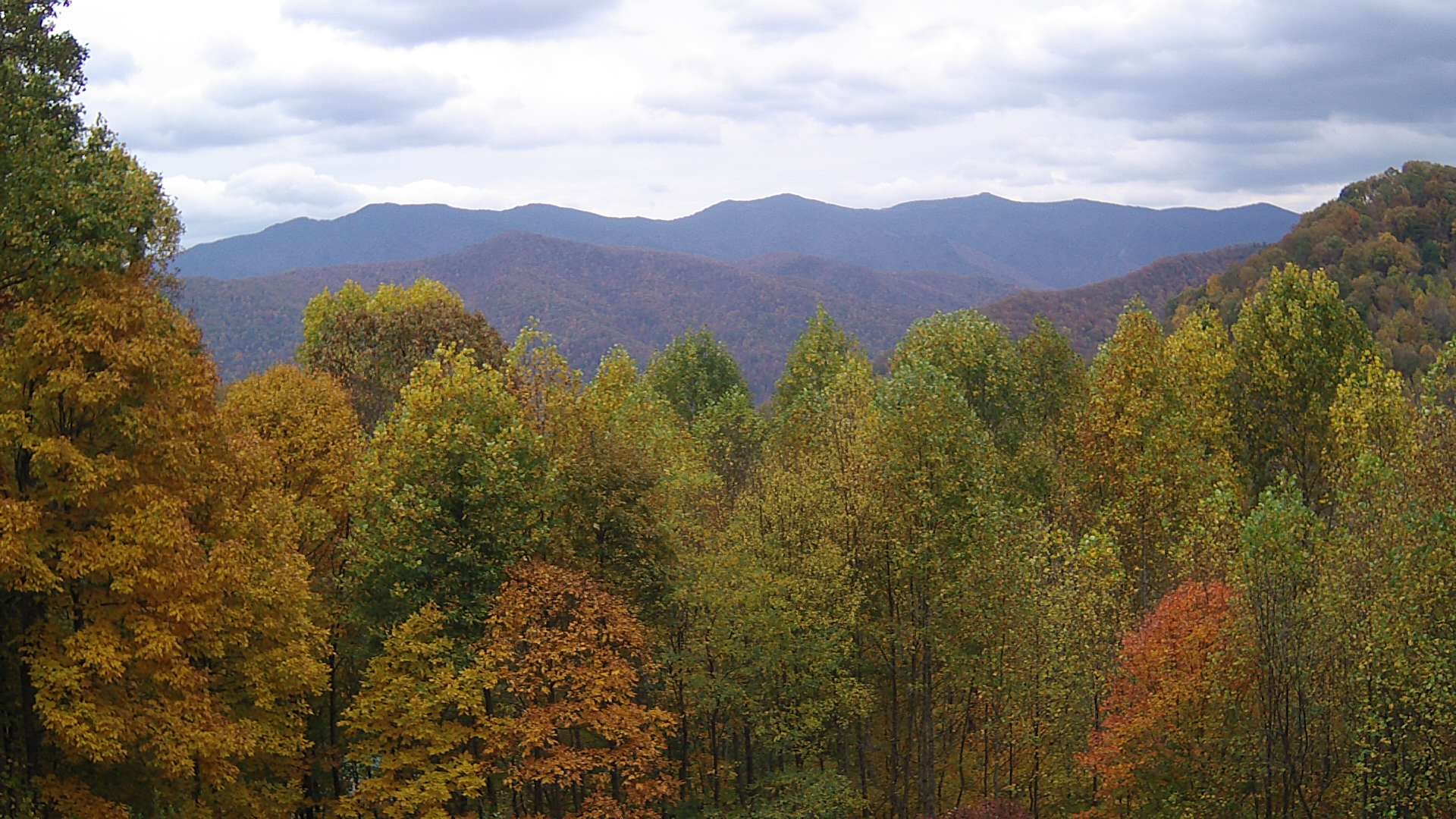 click for next image... slideshow image