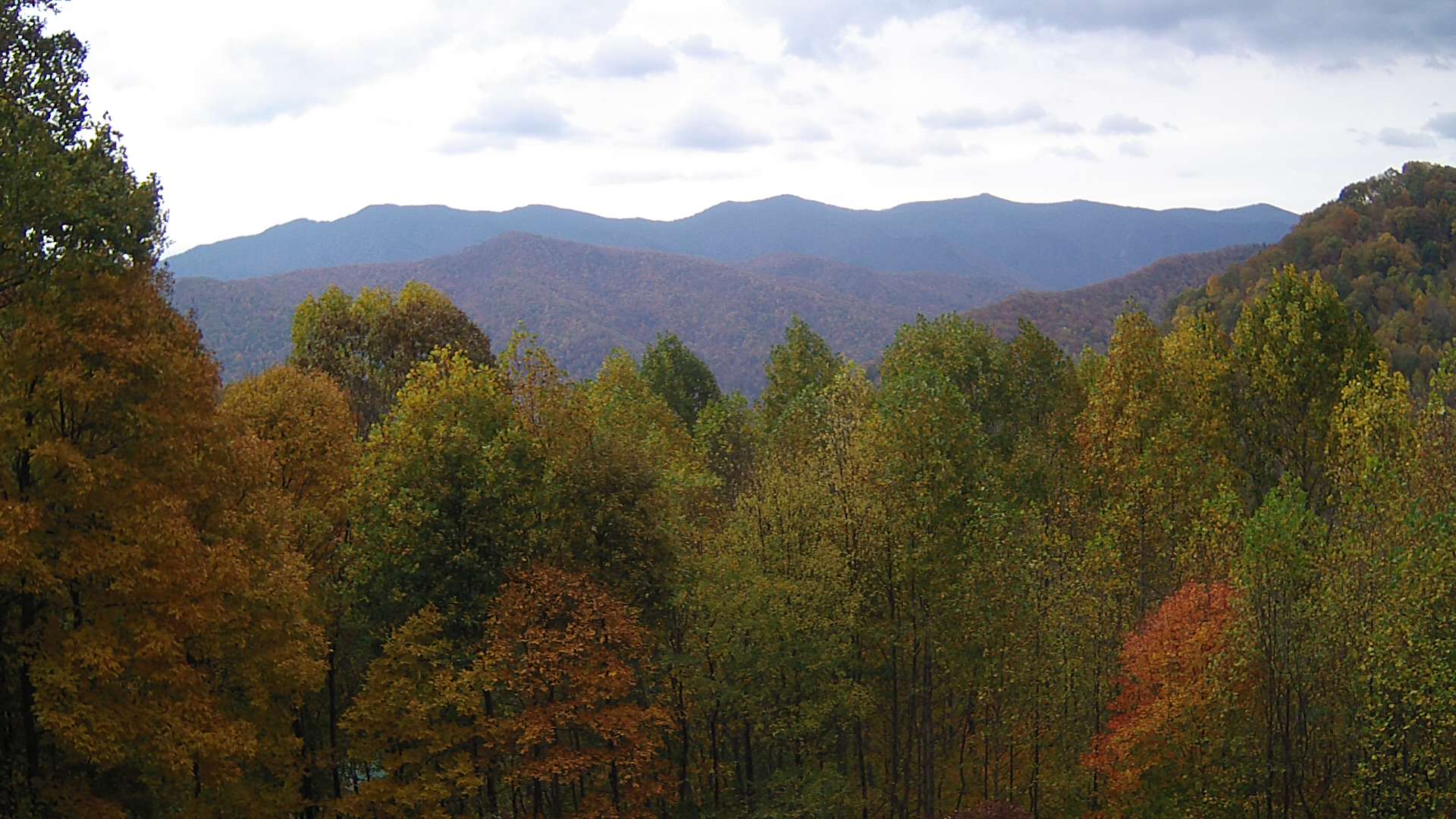 click for next image... slideshow image