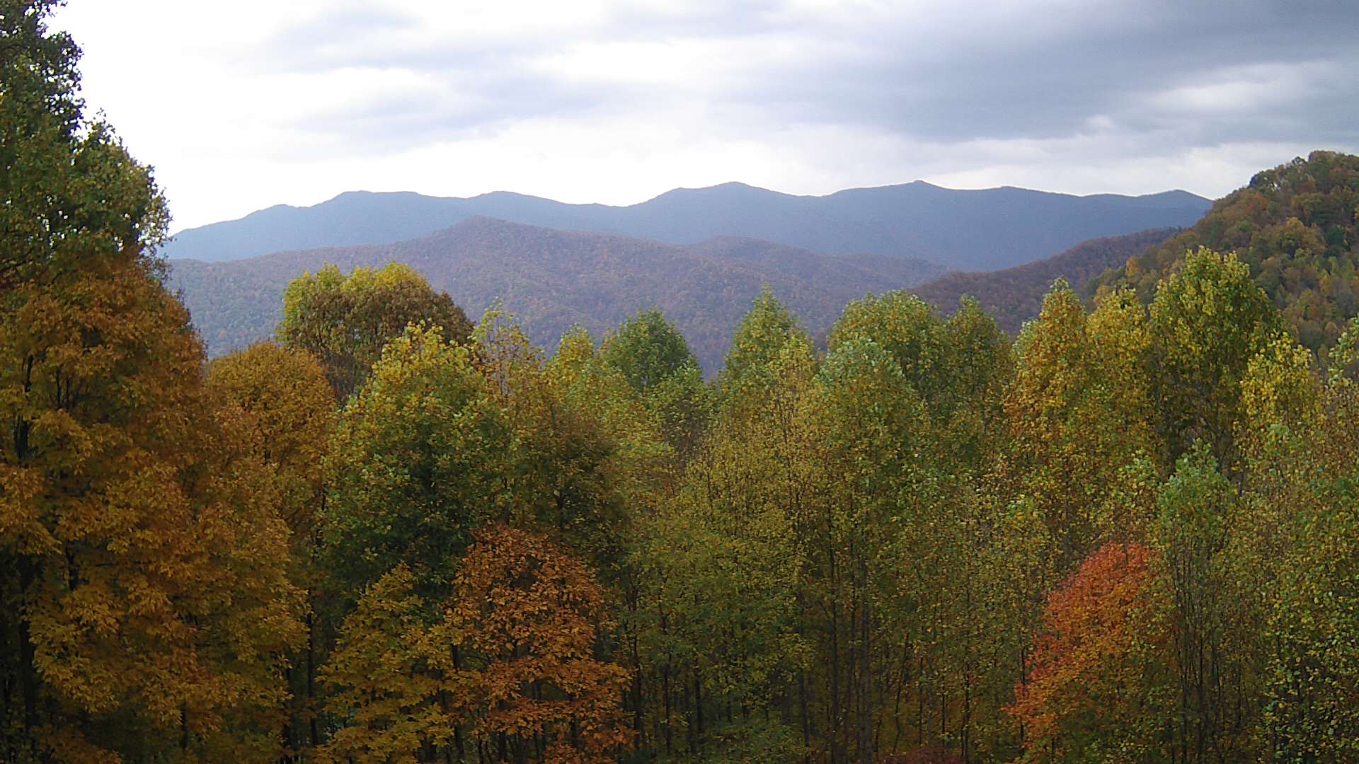 click for next image... slideshow image