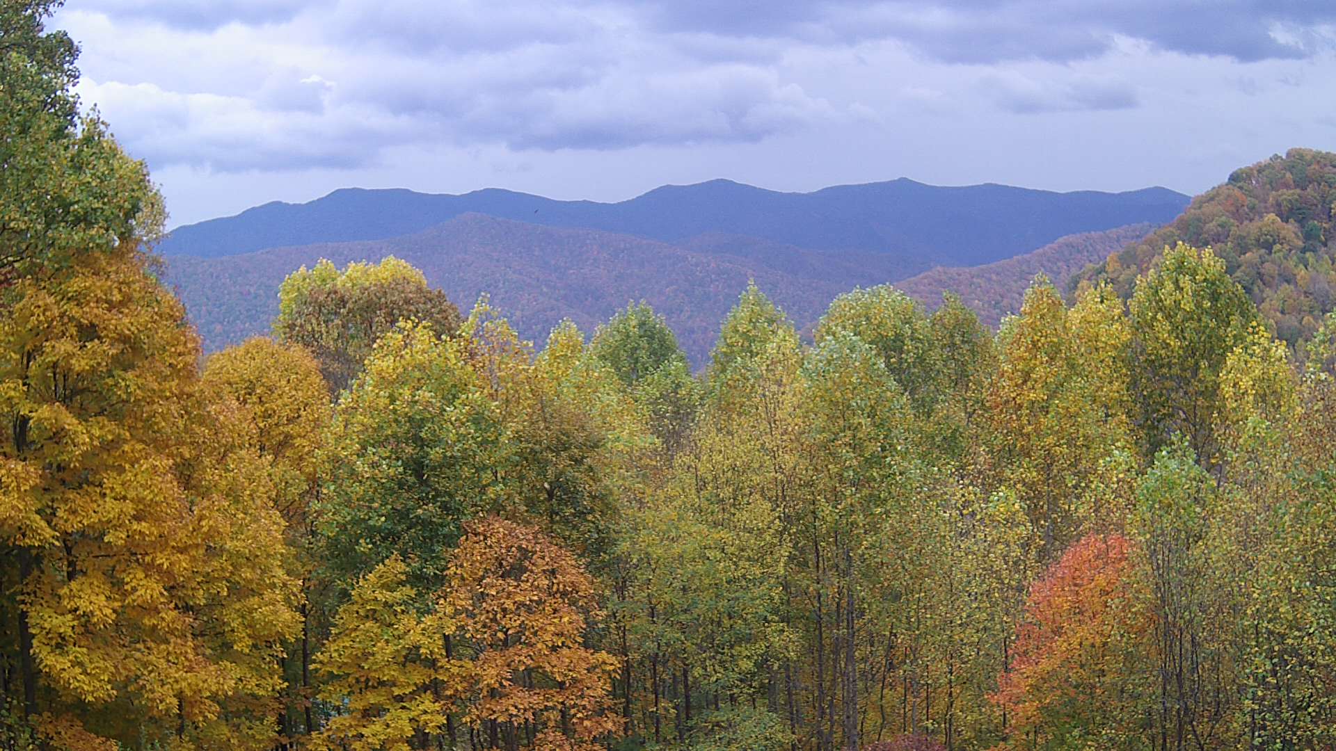 click for next image... slideshow image