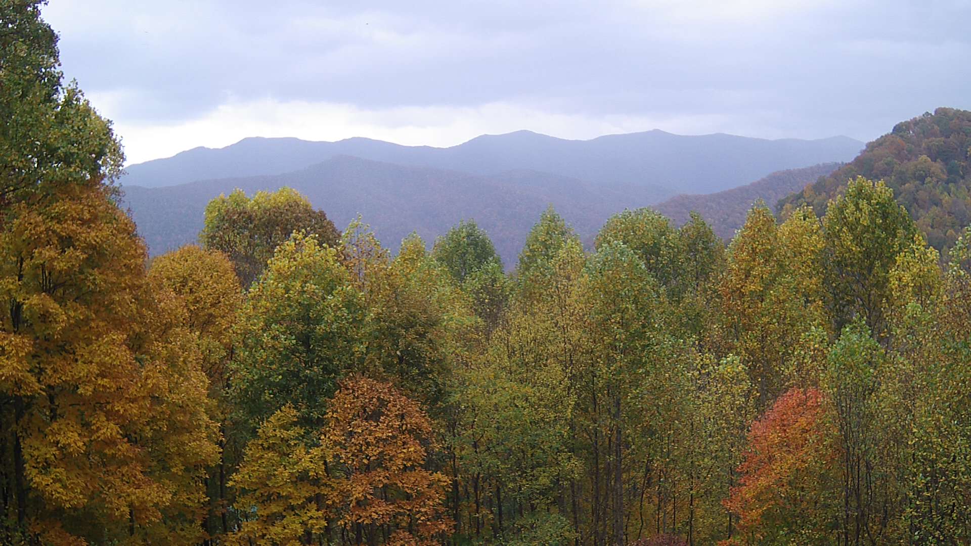 click for next image... slideshow image