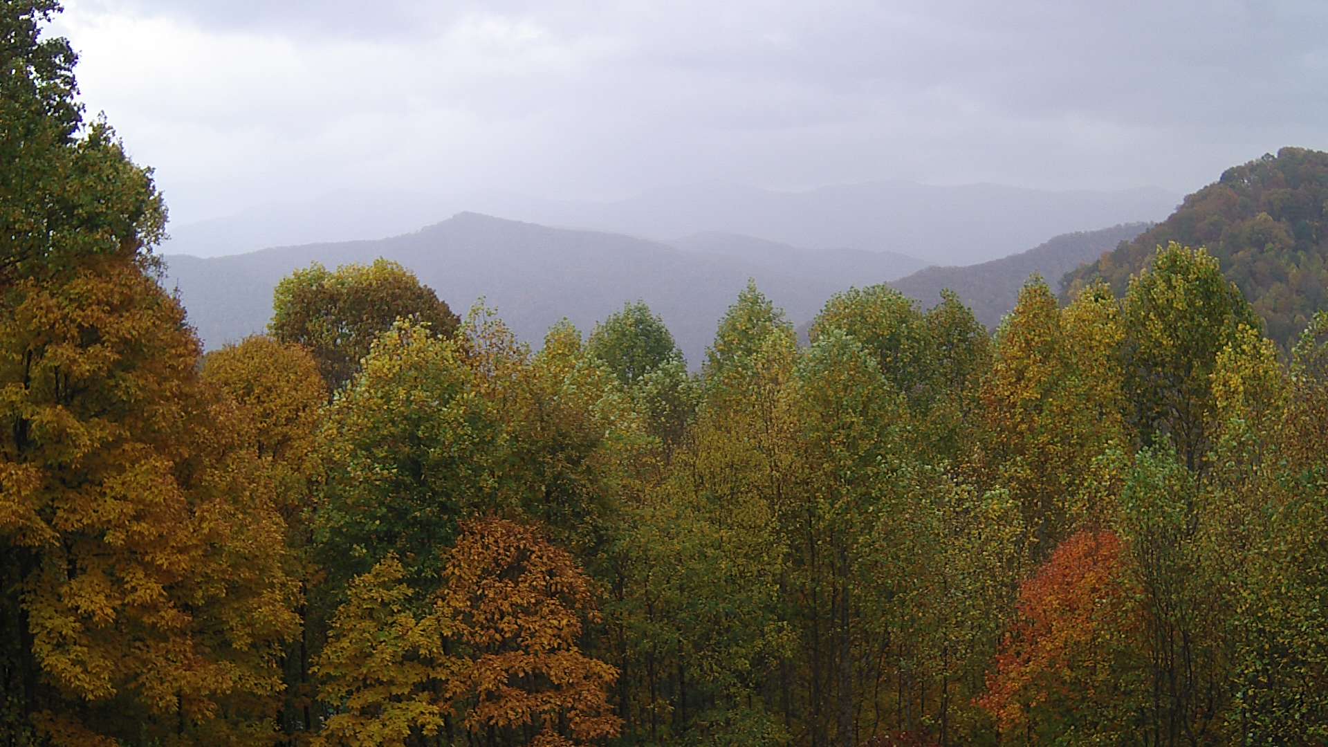 click for next image... slideshow image