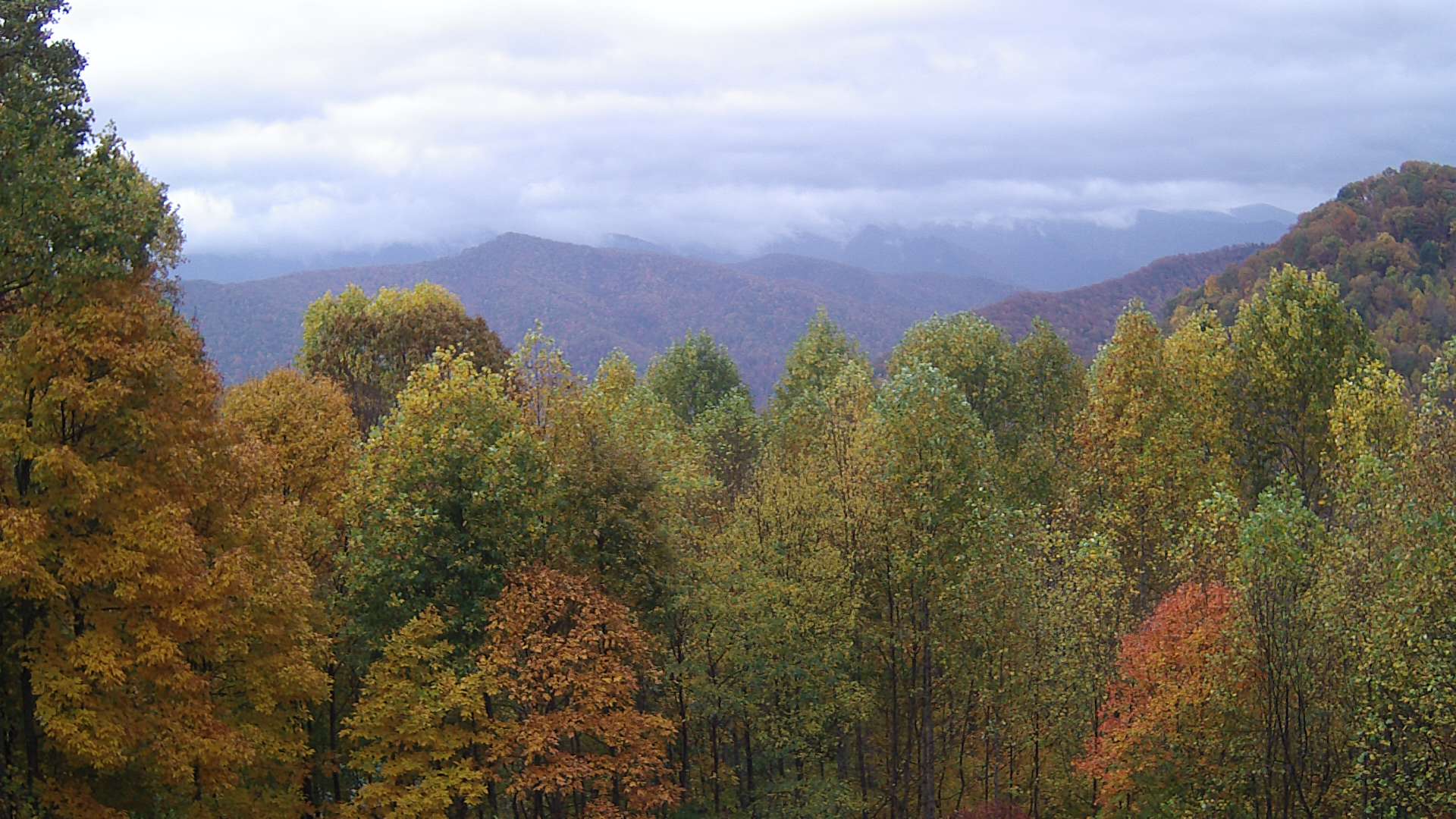 click for next image... slideshow image