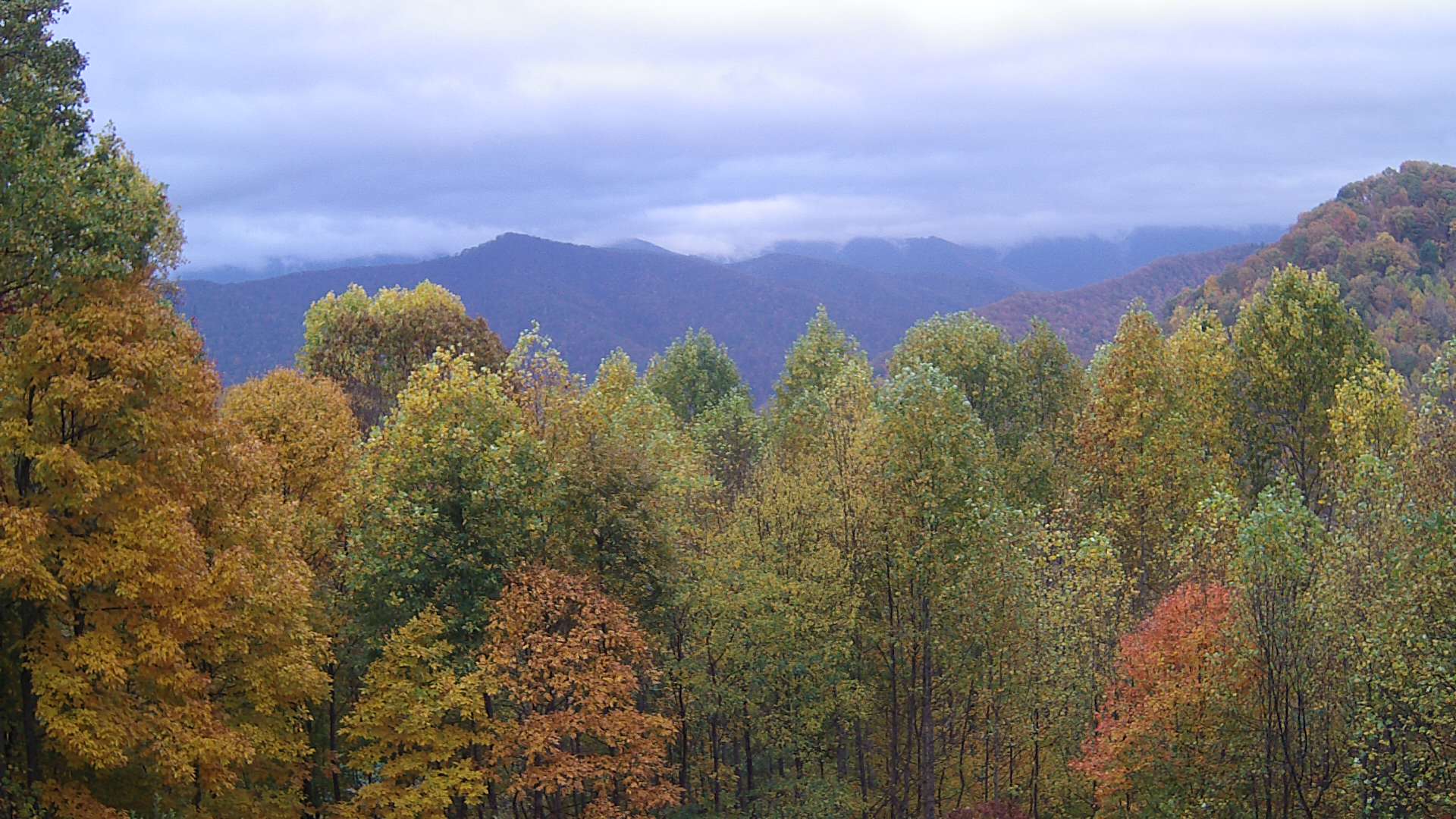 click for next image... slideshow image