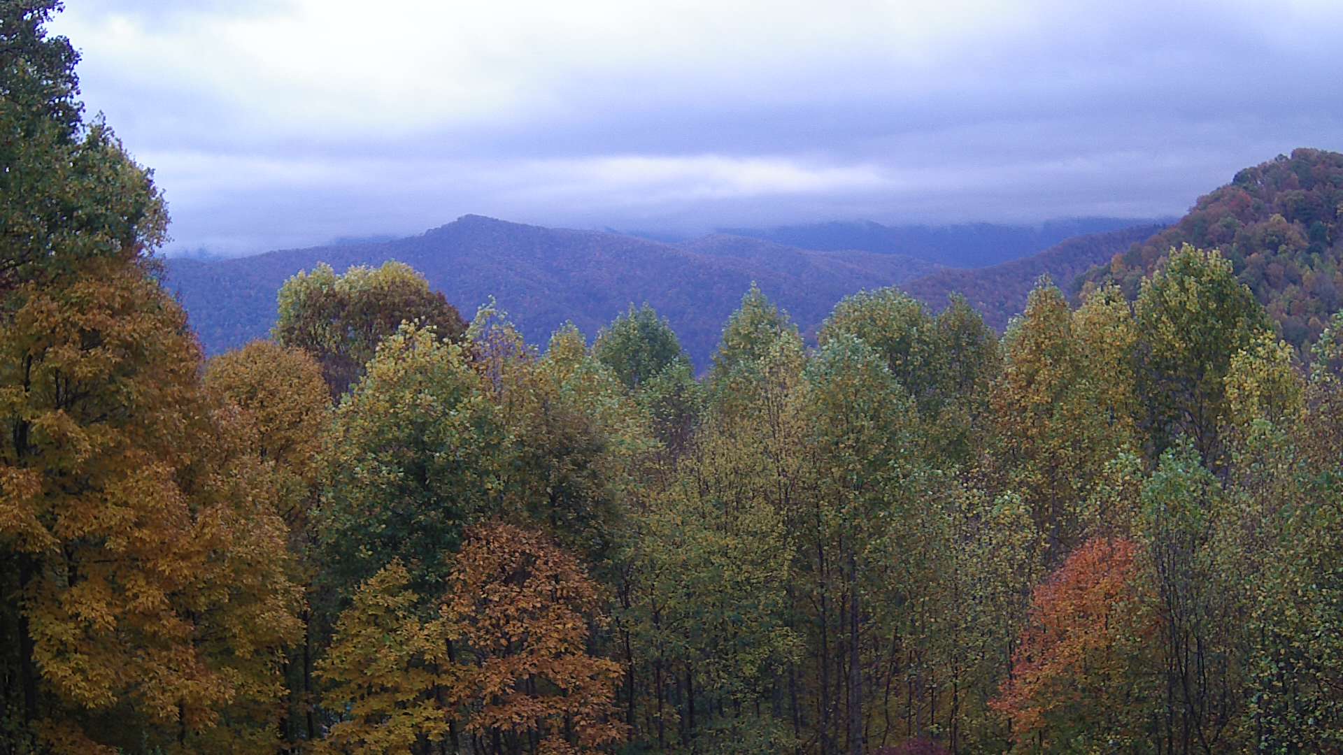 click for next image... slideshow image