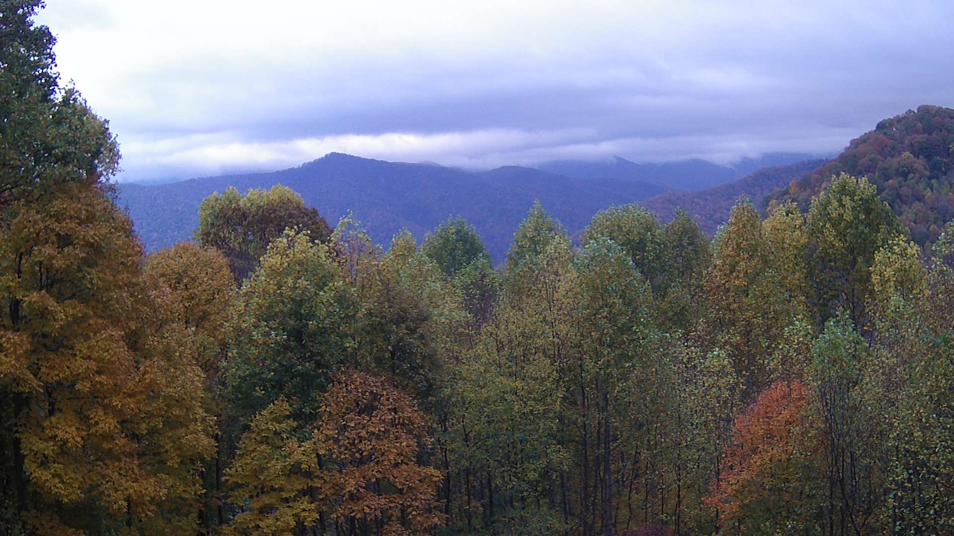 click for next image... slideshow image