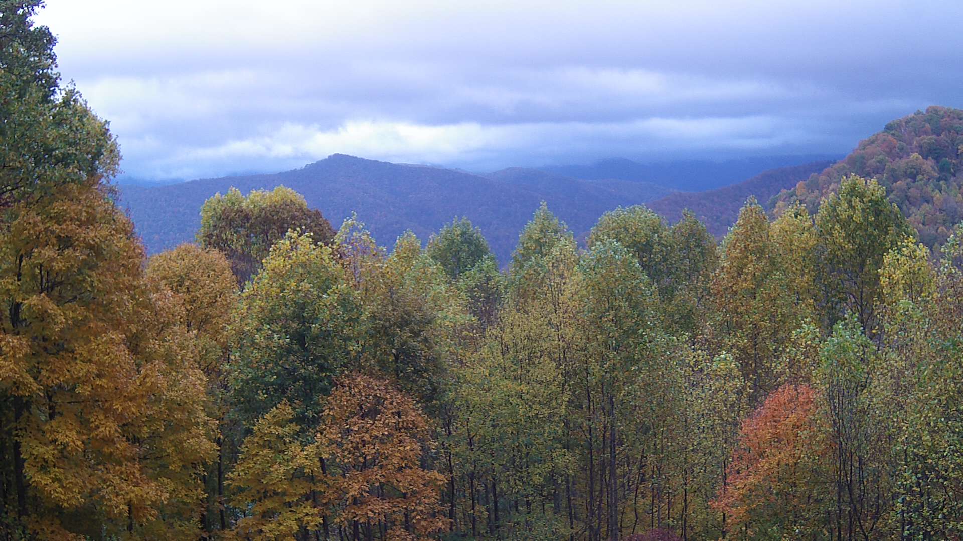 click for next image... slideshow image