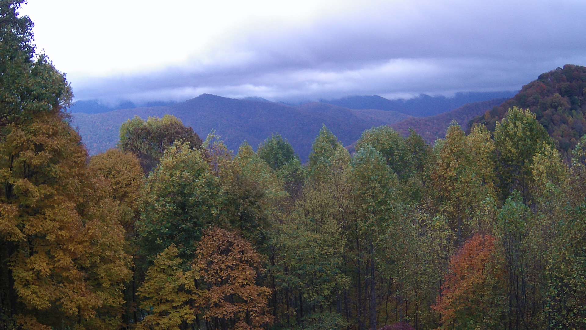 click for next image... slideshow image