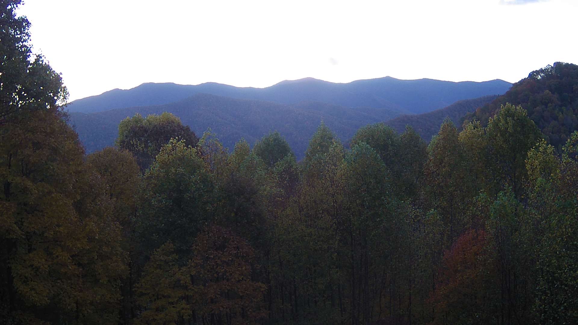 click for next image... slideshow image