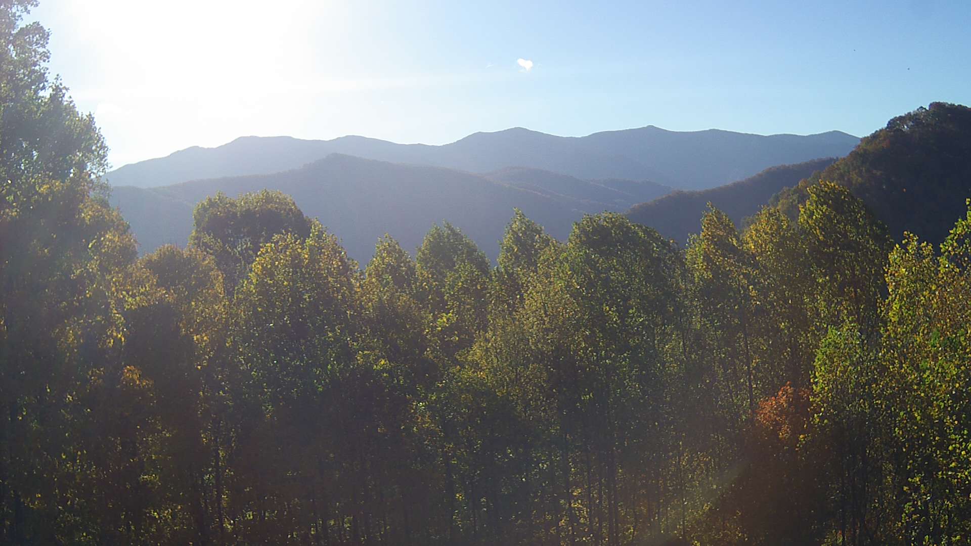 click for next image... slideshow image