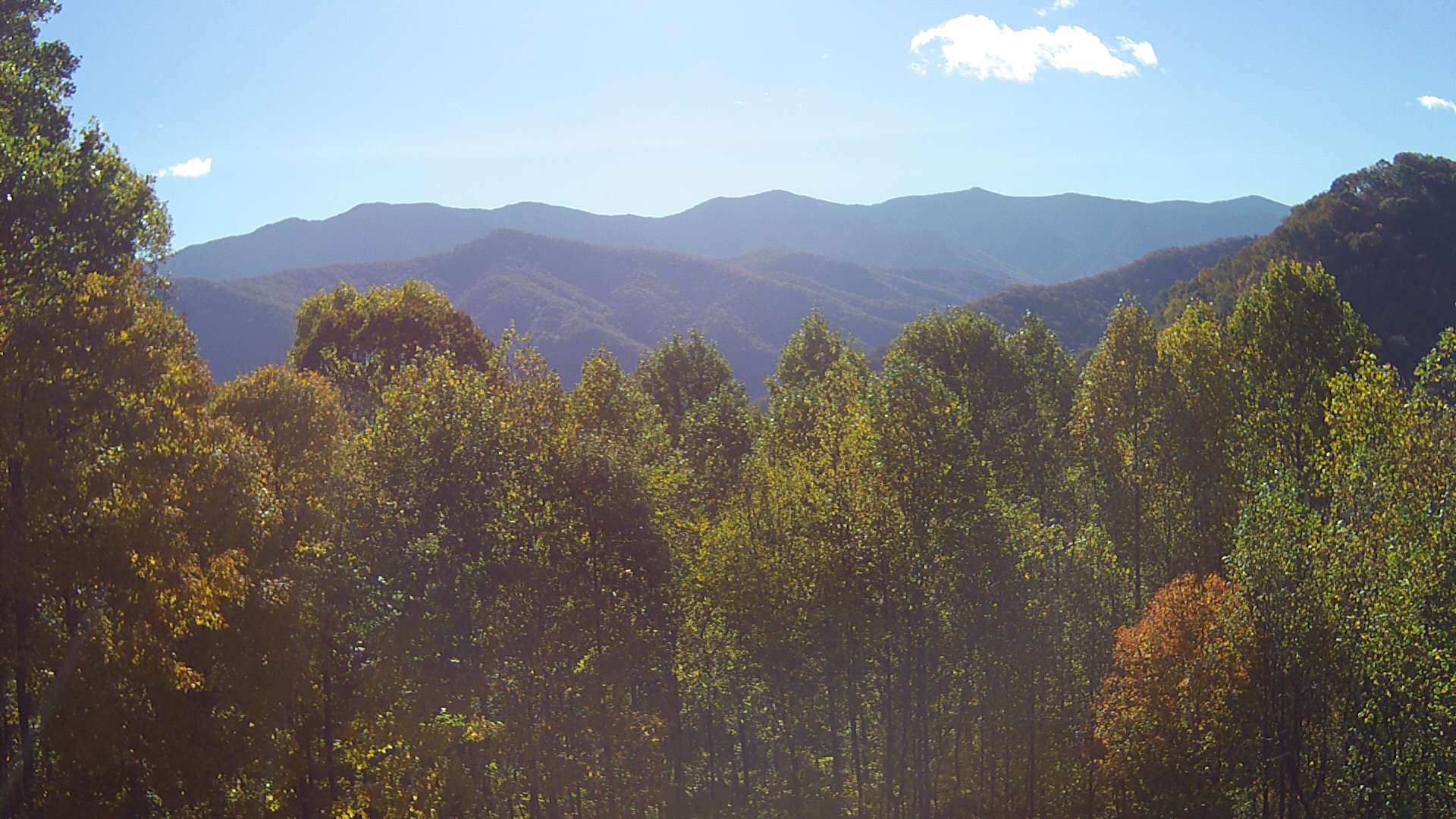 click for next image... slideshow image