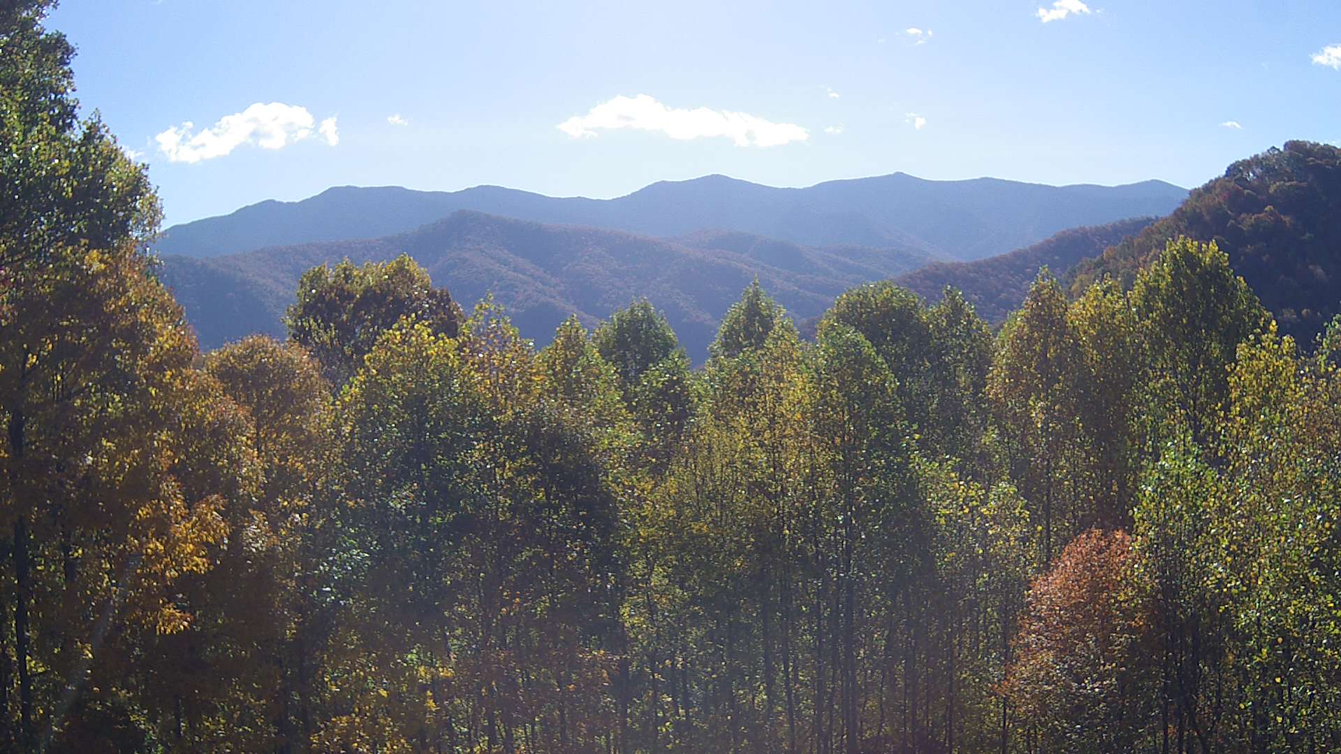 click for next image... slideshow image