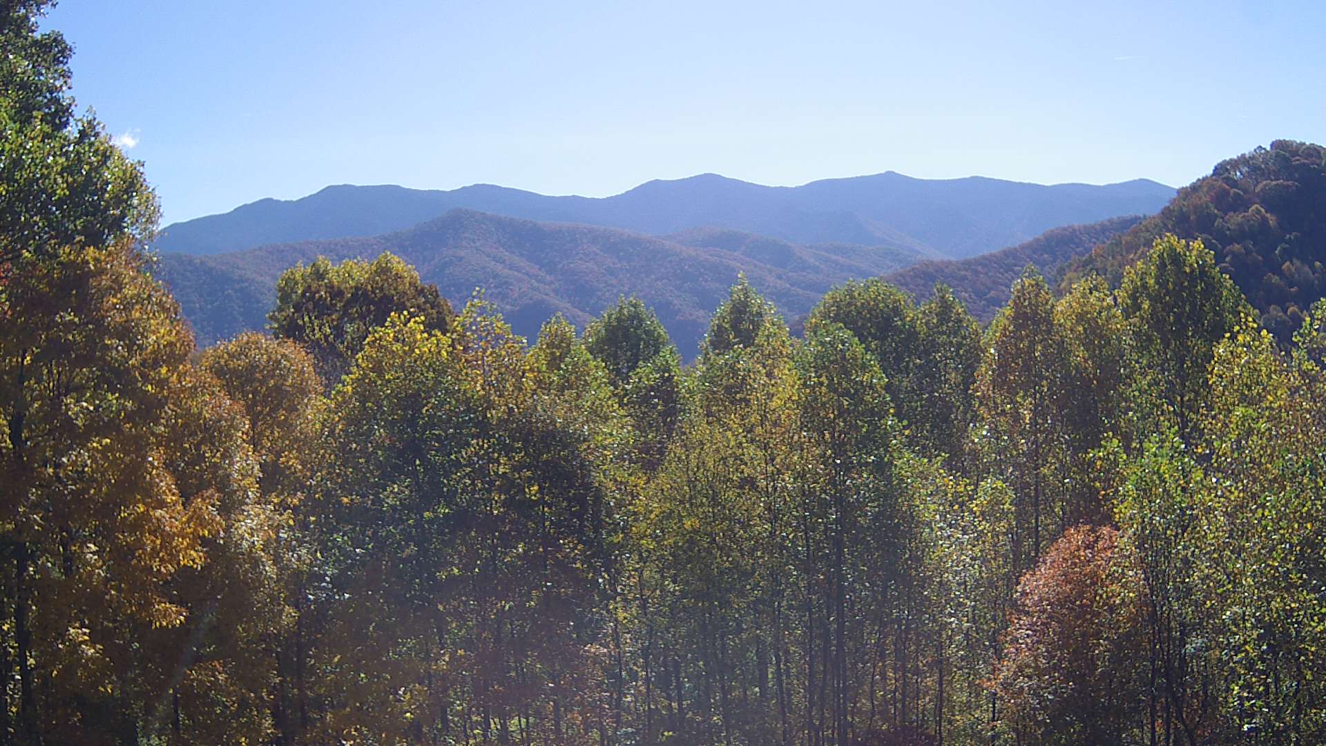 click for next image... slideshow image