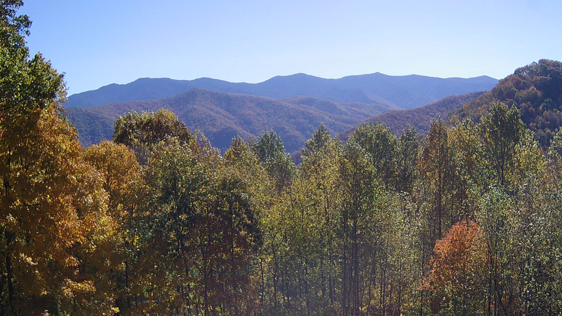 click for next image... slideshow image