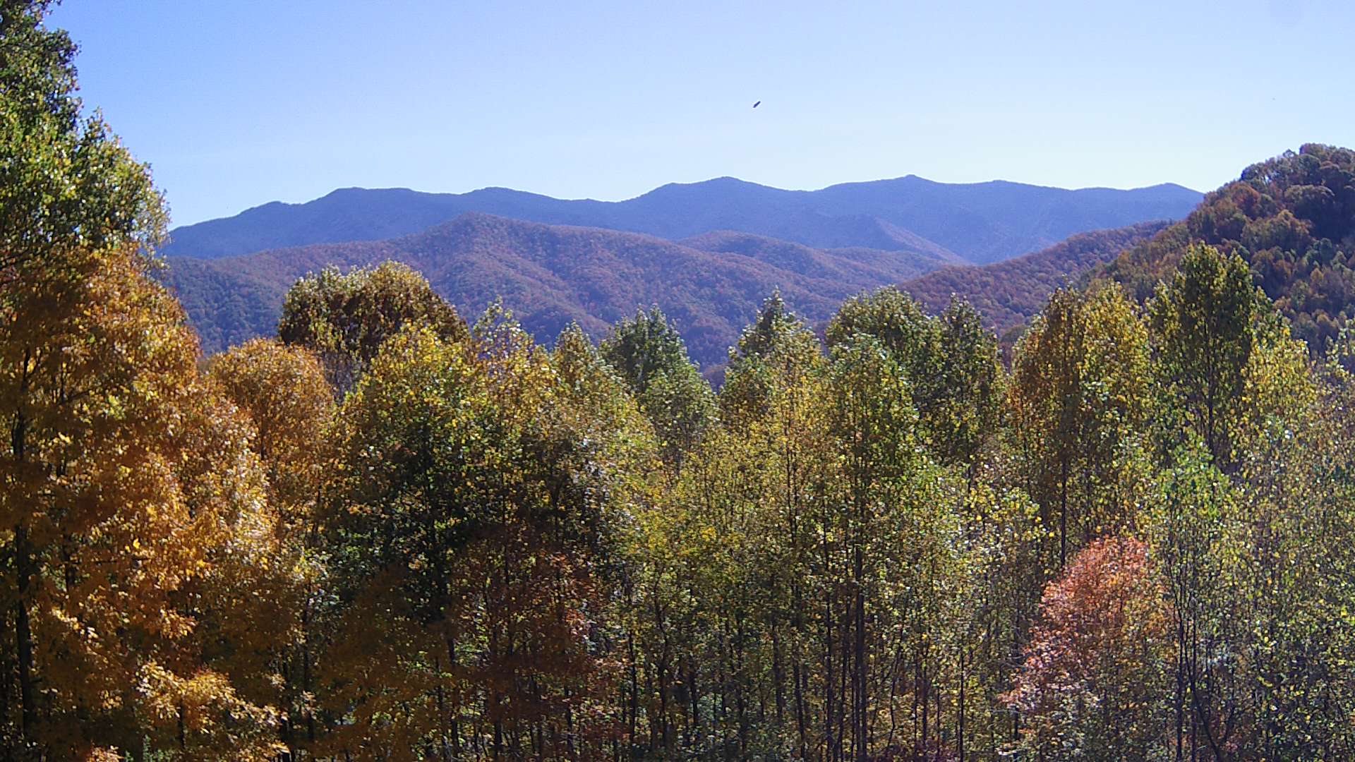 click for next image... slideshow image