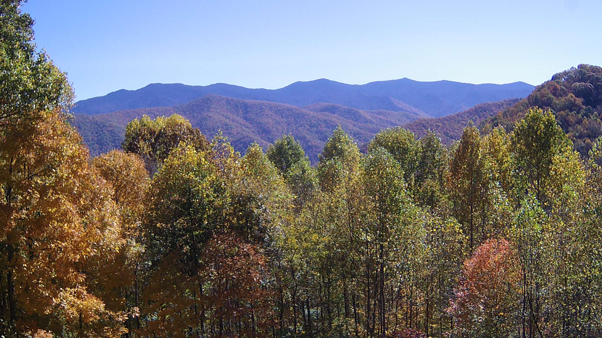 click for next image... slideshow image