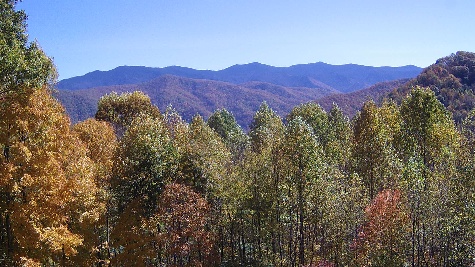 click for next image... slideshow image