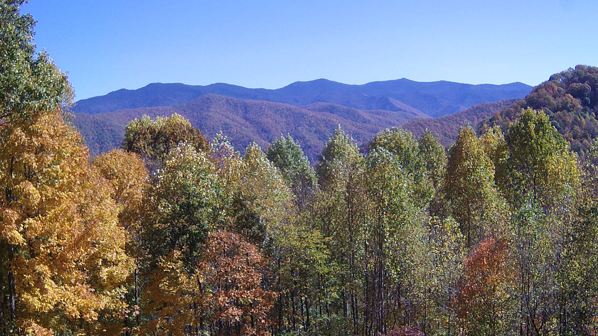 click for next image... slideshow image