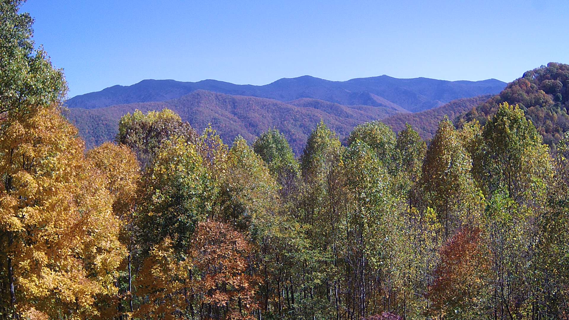 click for next image... slideshow image