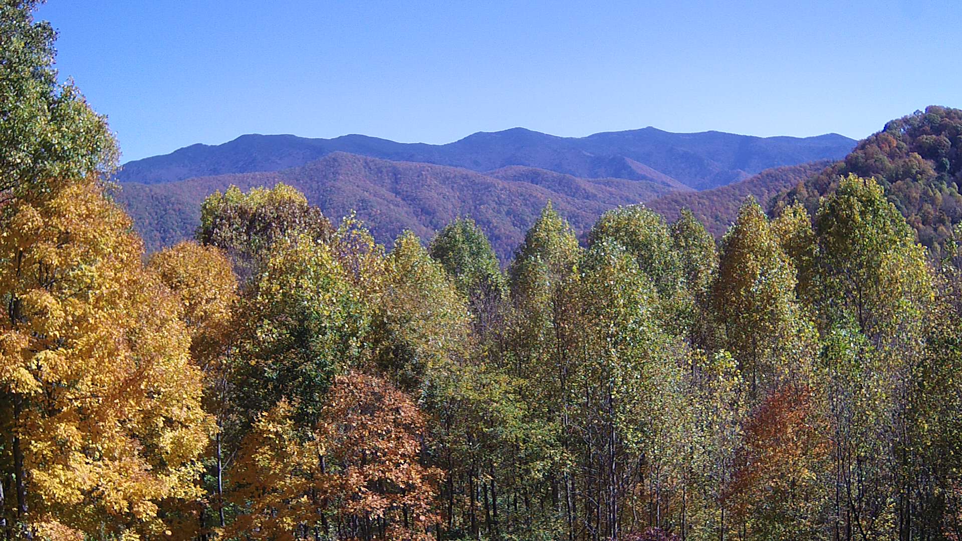 click for next image... slideshow image