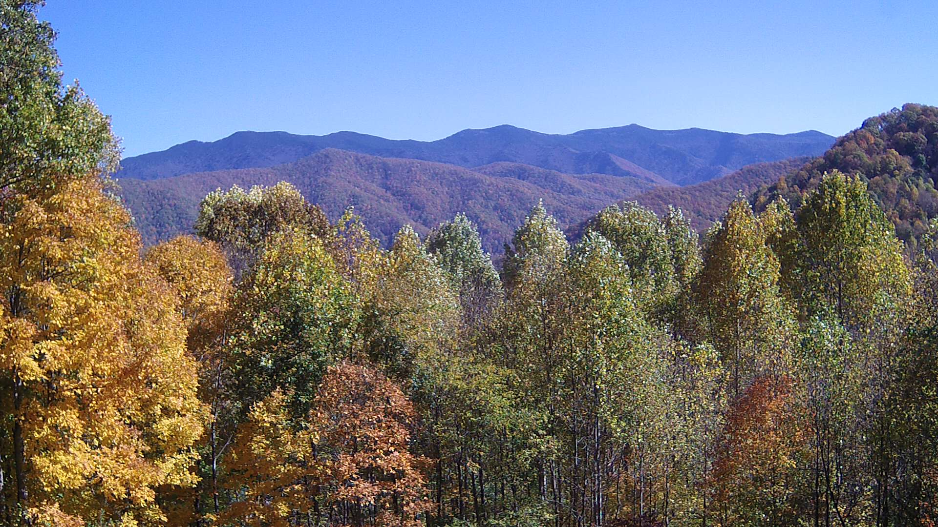 click for next image... slideshow image