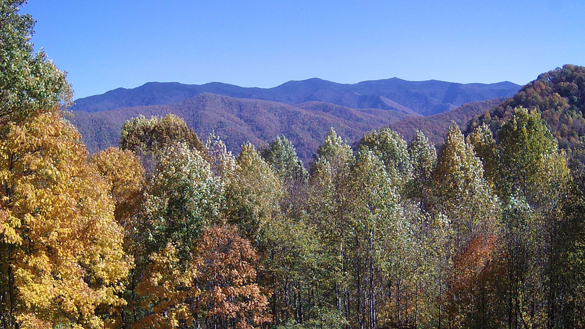 click for next image... slideshow image