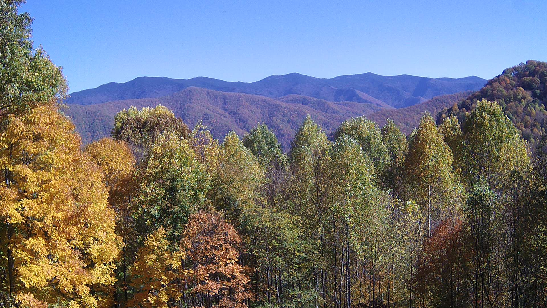 click for next image... slideshow image