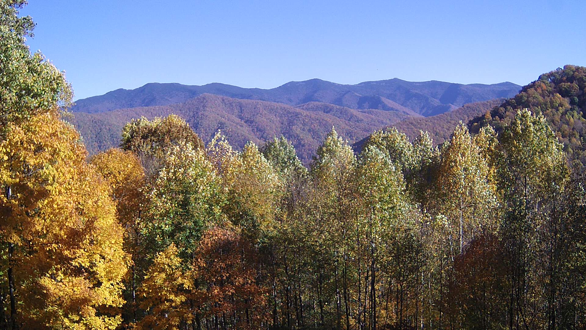 click for next image... slideshow image