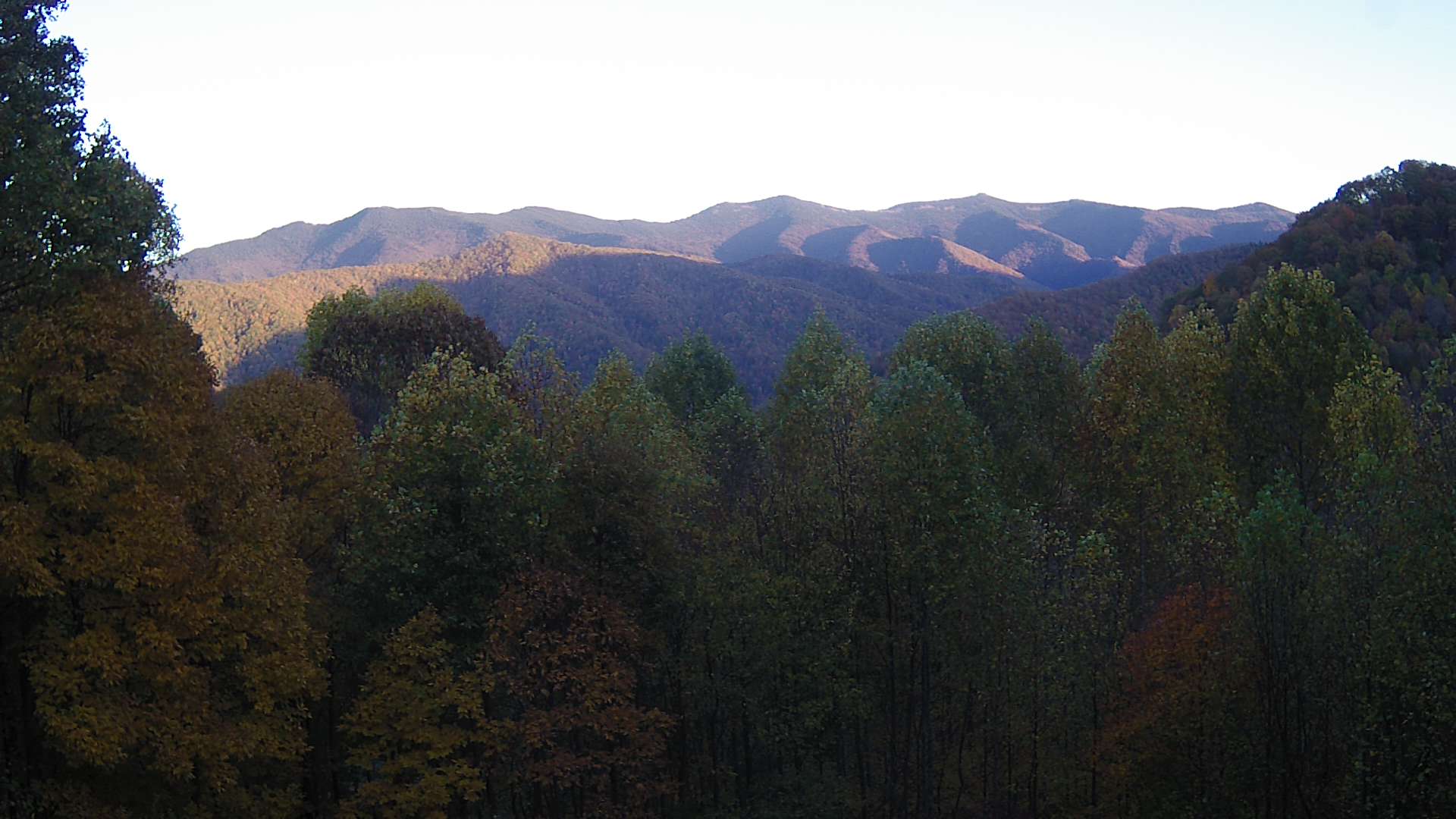 click for next image... slideshow image