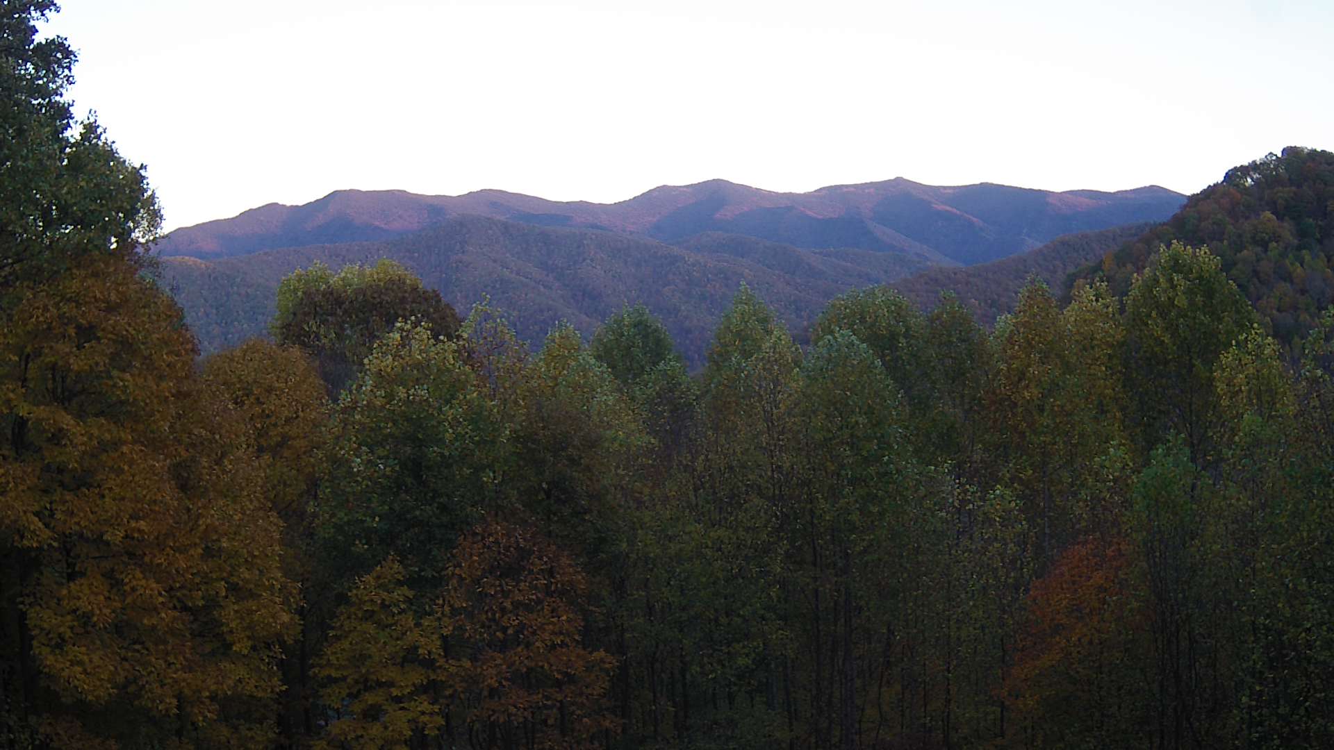 click for next image... slideshow image