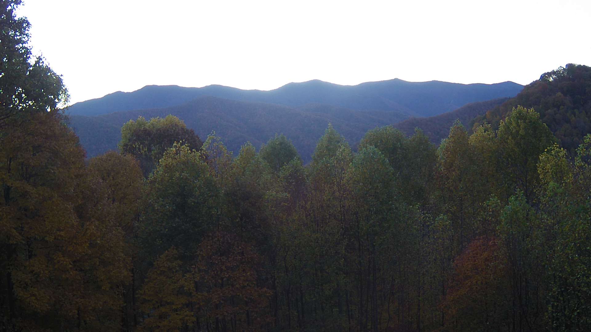 click for next image... slideshow image