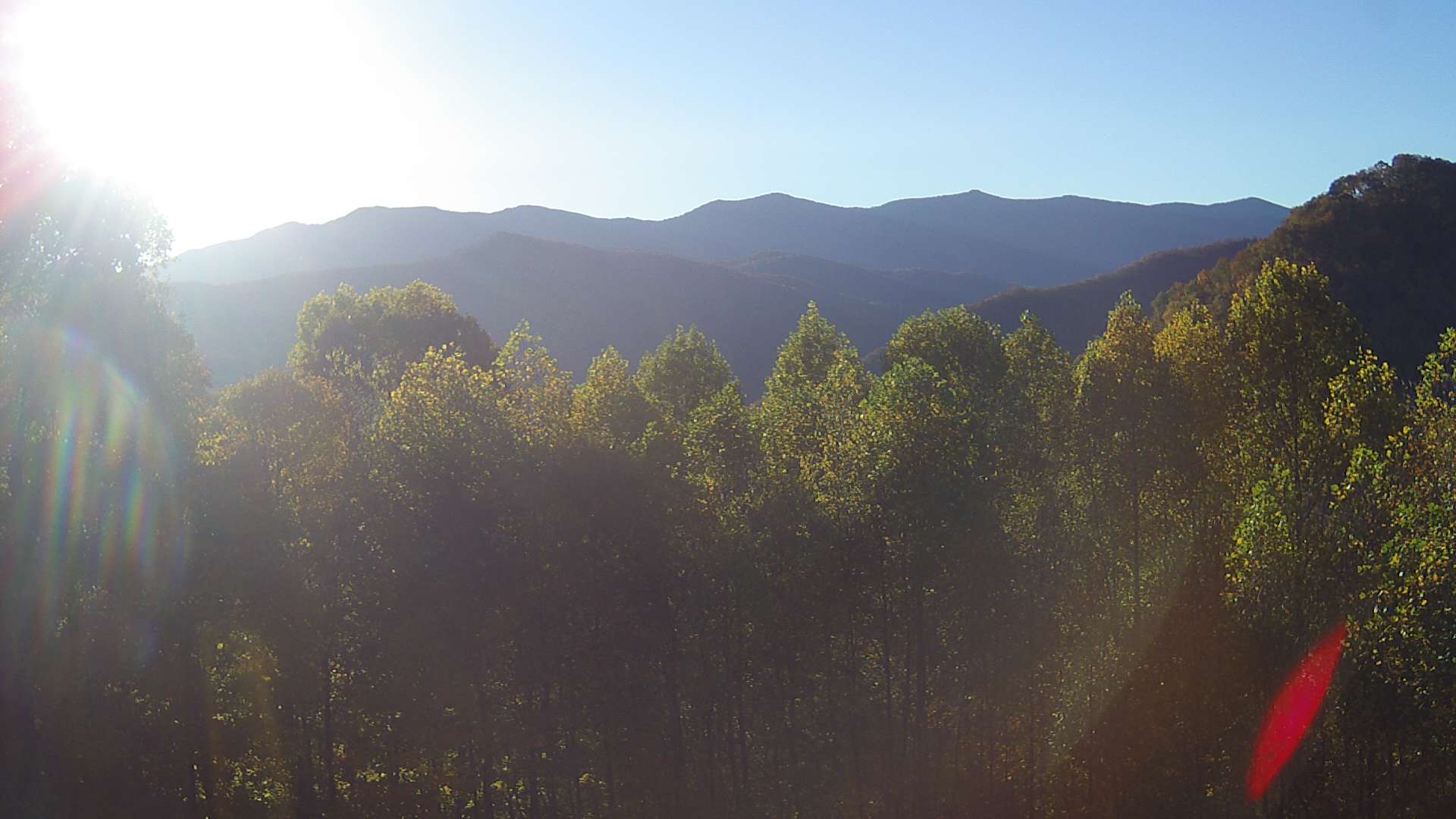 click for next image... slideshow image